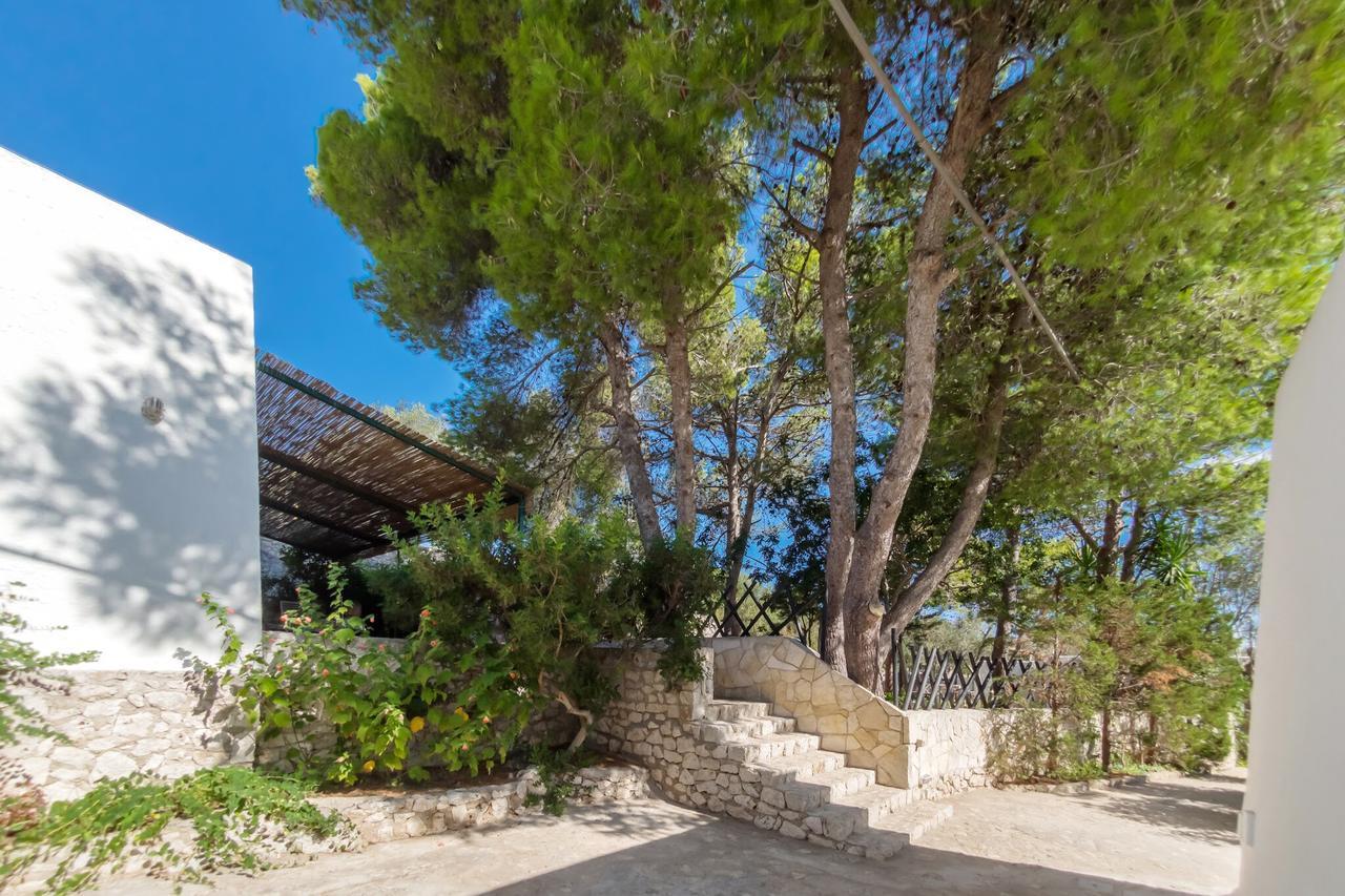 Residenza La Cicala Castro (Lecce)
