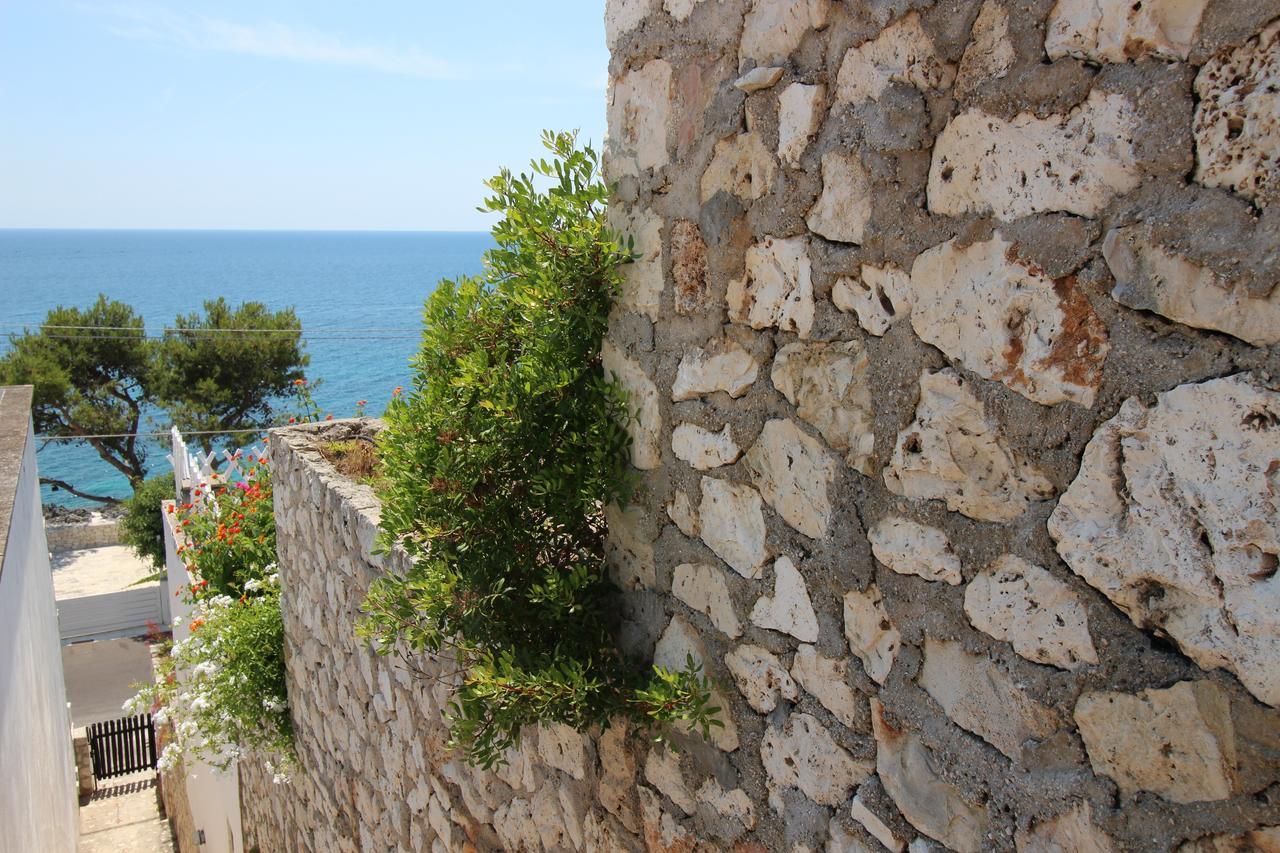 Residenza La Cicala Apartment