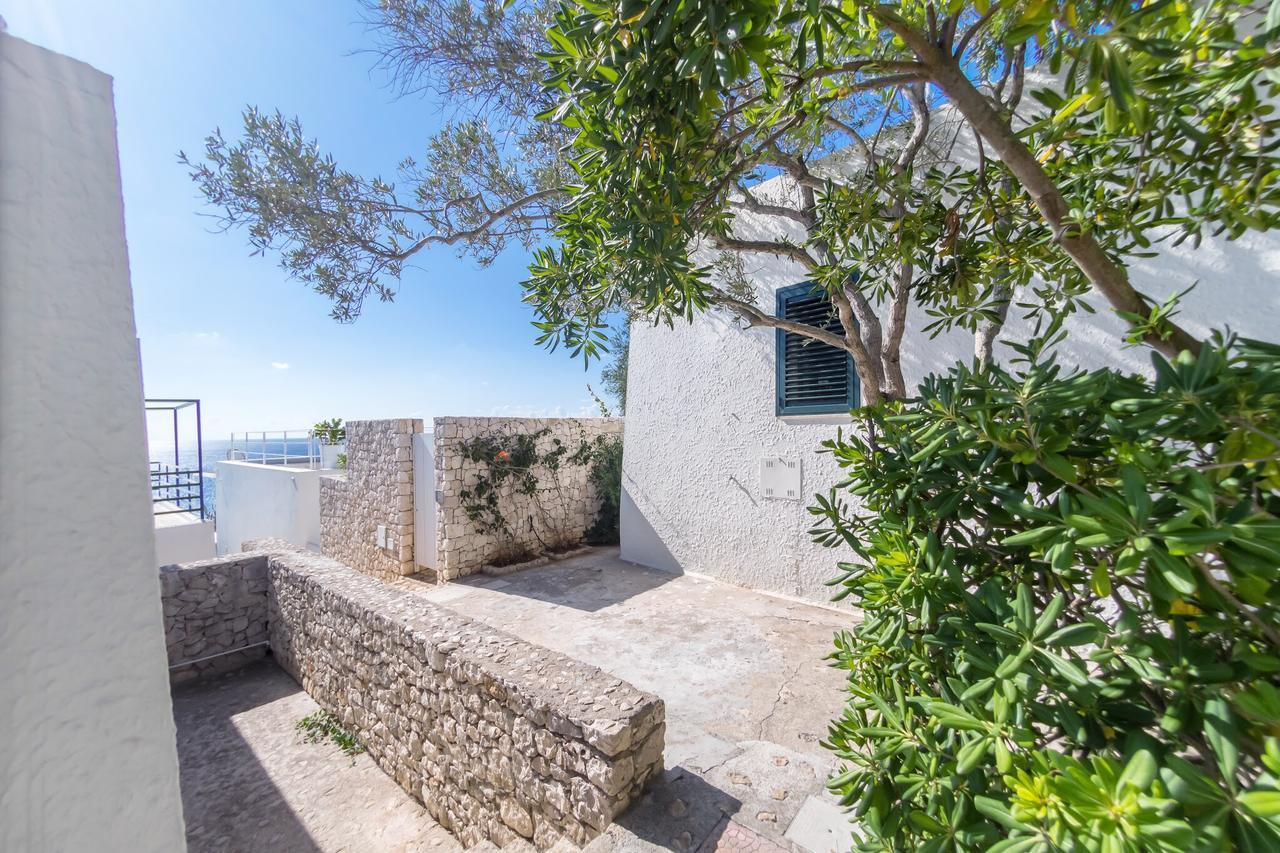 Residenza La Cicala Appartement